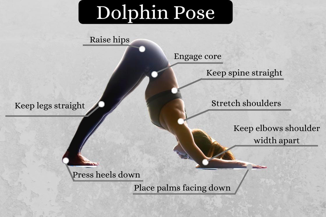 Dolphin Pose (Half Pincha Mayurasana)