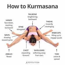 Benefits of Tortoise pose or Kurmasana